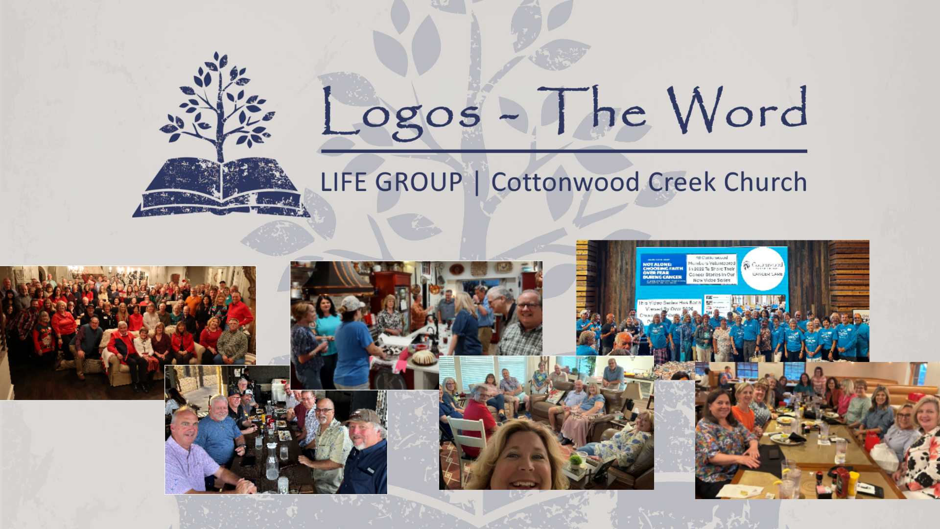 Cottonwood Creek Church - Logos - The Word 11 A.M.